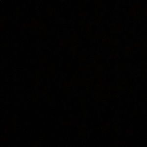 Meet your Posher, Natasha